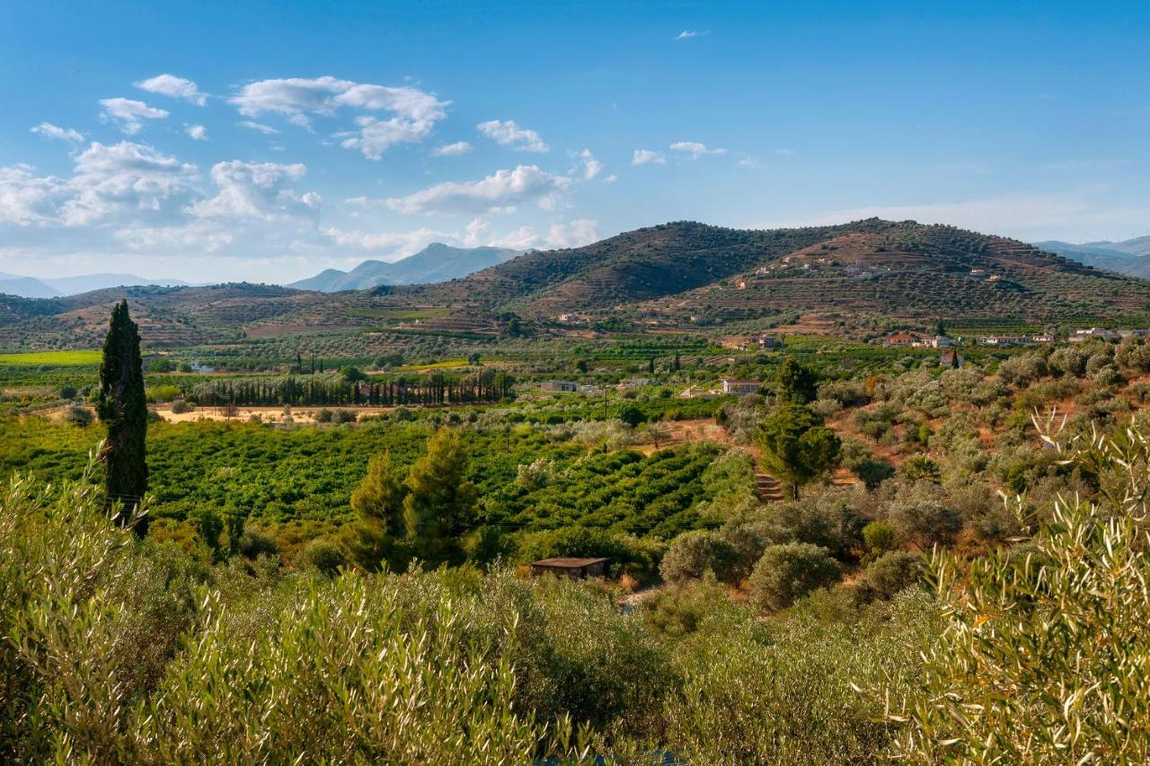 Ktima Constantin Villa Anabolu Dış mekan fotoğraf